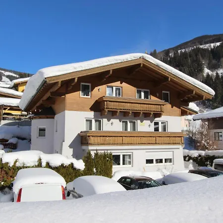 Cozy In Saalbach-hinterglemm With Sauna Viehhofen